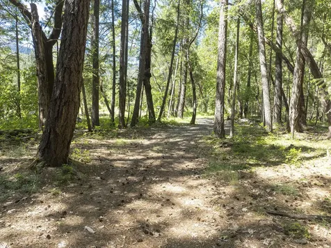 401 China Creek Road Williams OR 97544