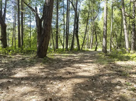 401 China Creek Road Williams OR 97544