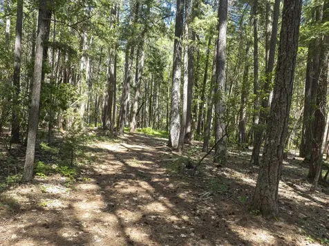 401 China Creek Road Williams OR 97544