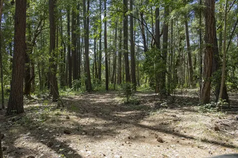 401 China Creek Road Williams OR 97544