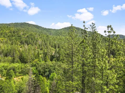 6584 Pleasant Creek Road Rogue River OR 97537