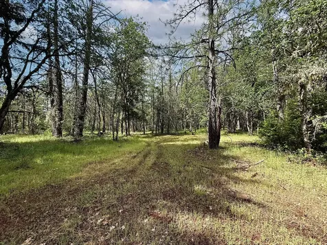 42256 Highway 62 Prospect OR 97536