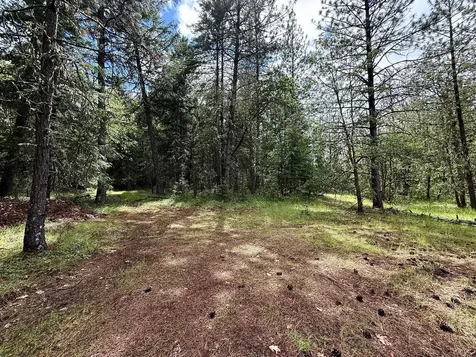 42256 Highway 62 Prospect OR 97536