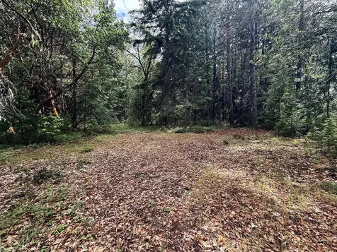 42256 Highway 62 Prospect OR 97536