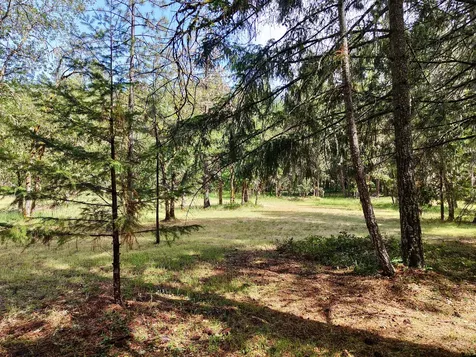 42256 Highway 62 Prospect OR 97536