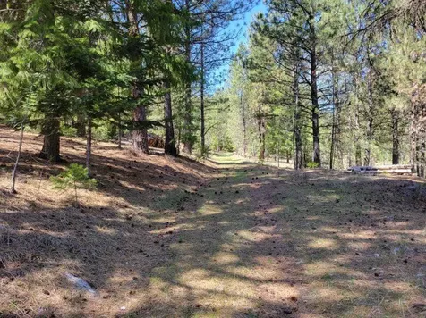600 NE Lofton Creek Road Prineville OR 97754