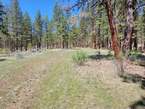 600 NE Lofton Creek Road Prineville OR 97754