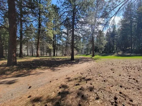 600 NE Lofton Creek Road Prineville OR 97754