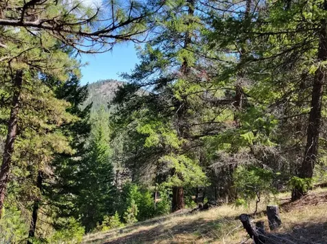 600 NE Lofton Creek Road Prineville OR 97754
