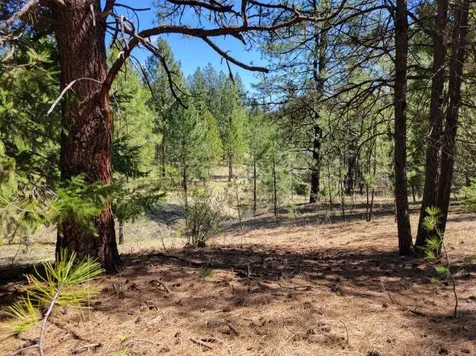 600 NE Lofton Creek Road Prineville OR 97754