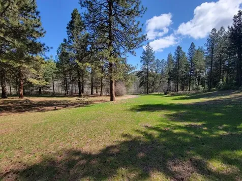600 NE Lofton Creek Road Prineville OR 97754