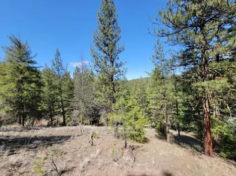 600 NE Lofton Creek Road Prineville OR 97754