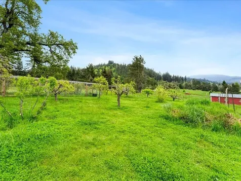84115 N Enterprise Road Pleasant Hill OR 97455