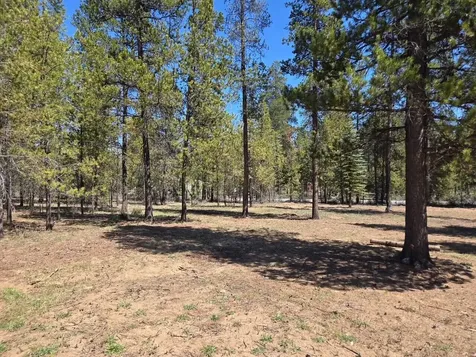 54655 Husky Lane Bend OR 97707