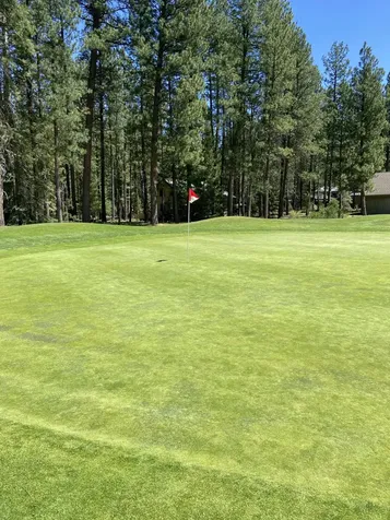71073 Bracken Lane Black Butte Ranch OR 97759