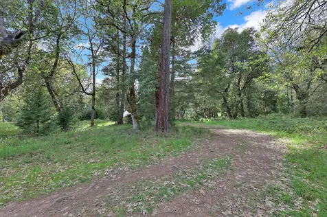 544 Lou Gray Drive Myrtle Creek OR 97457