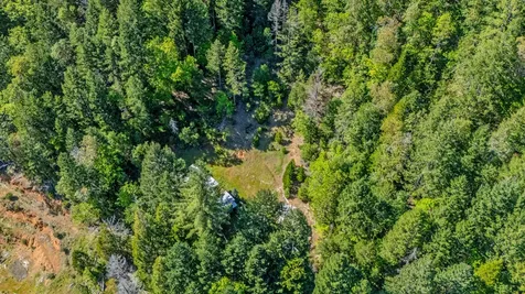1430 Forest Creek Road Selma OR 97538