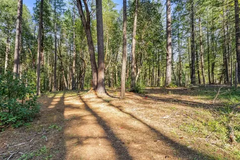 1201 Reeves Creek Road Selma OR 97538