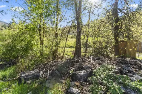 331 Newt Gulch Road Wilderville OR 97543