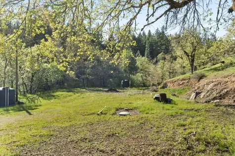 331 Newt Gulch Road Wilderville OR 97543