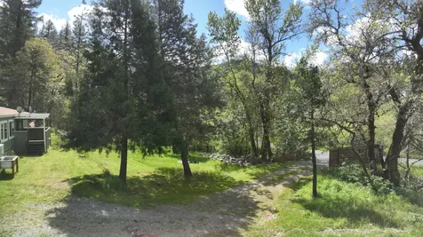 331 Newt Gulch Road Wilderville OR 97543