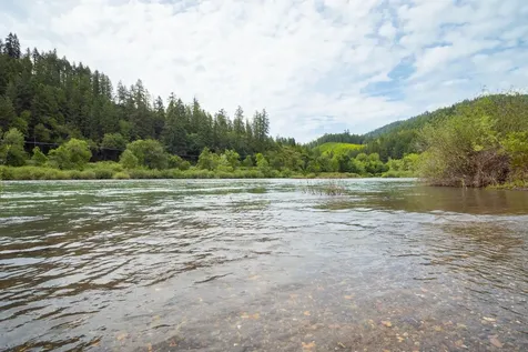 132 Cougar Creek Road Oakland OR 97462