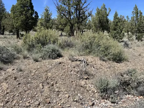1800 SE Gentian Way Prineville OR 97754