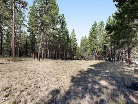 9046 Warbler Drive Bonanza OR 97623