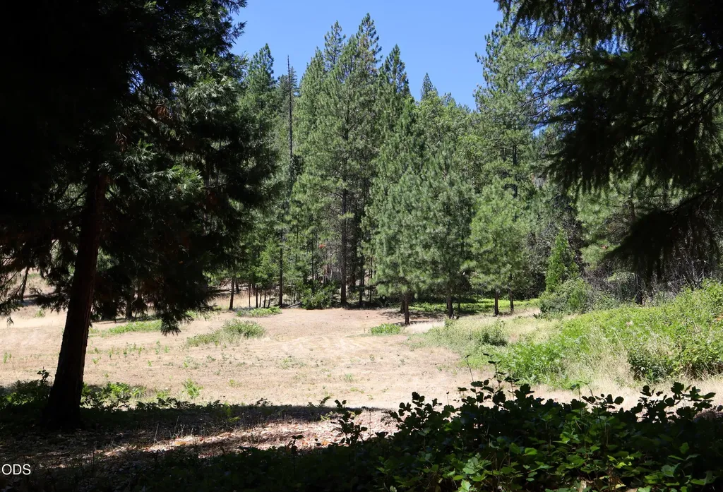 2725 Sykes Creek Road Rogue River OR 97537