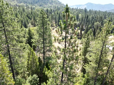2725 Sykes Creek Road Rogue River OR 97537