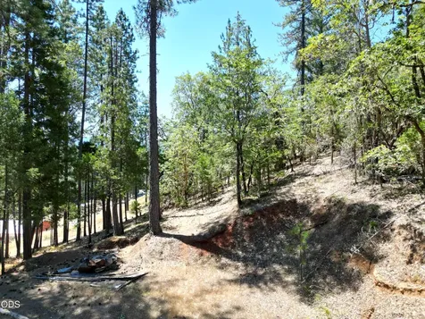 2725 Sykes Creek Road Rogue River OR 97537
