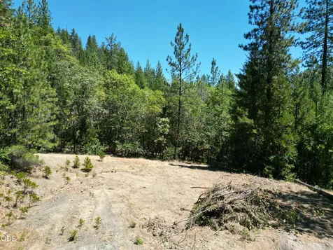 2725 Sykes Creek Road Rogue River OR 97537