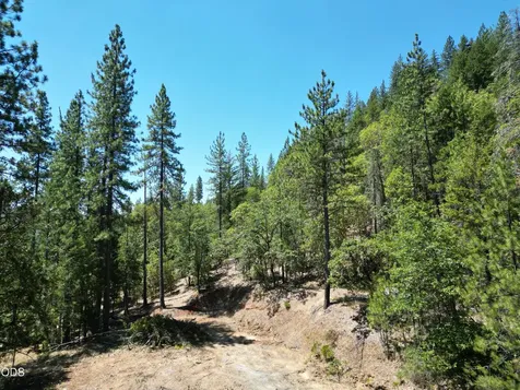 2725 Sykes Creek Road Rogue River OR 97537