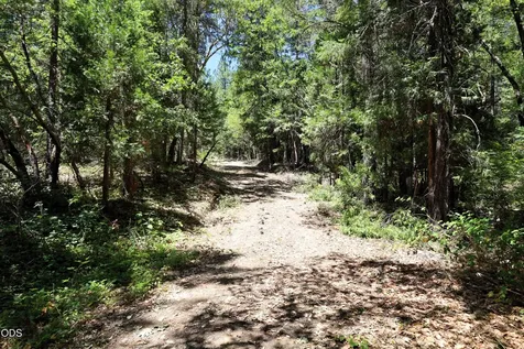 2725 Sykes Creek Road Rogue River OR 97537