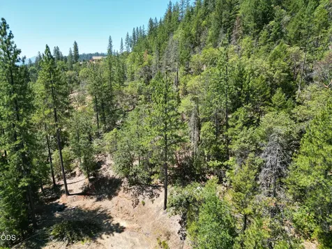 2725 Sykes Creek Road Rogue River OR 97537