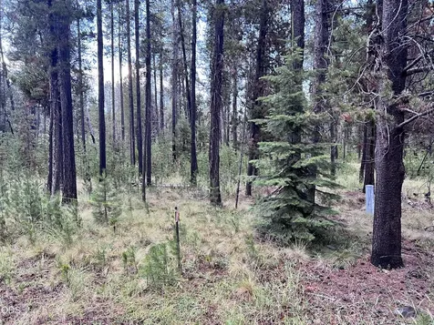 17080 Island Loop Way Bend OR 97707