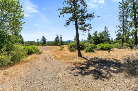 699 Pine Cone Drive Cave Junction OR 97523