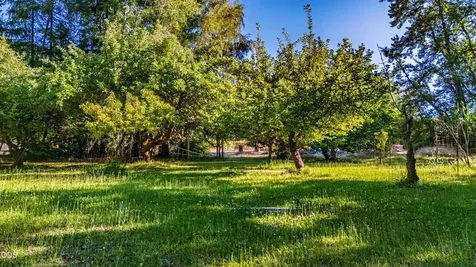 2211 Dick George Road Cave Junction OR 97523