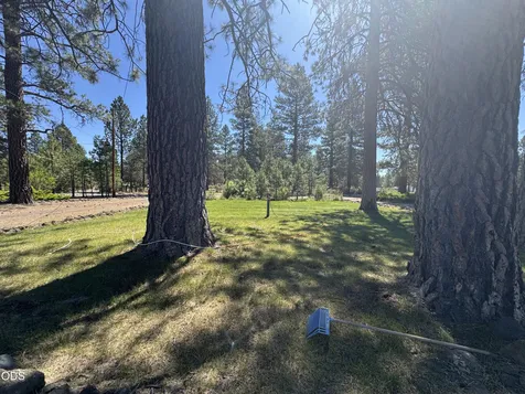 5536 Seagull Drive Bonanza OR 97623