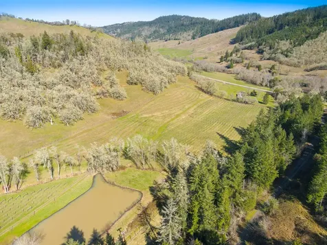 375 Porter Creek Road Winston OR 97496