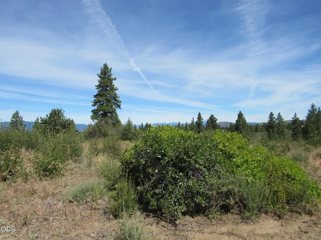 00 Ranch Road Chiloquin OR 97624