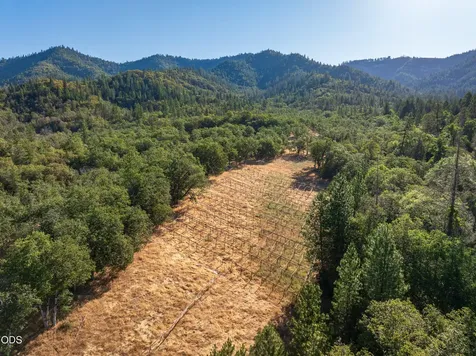 2659 Foots Creek L Fork Road Gold Hill OR 97525