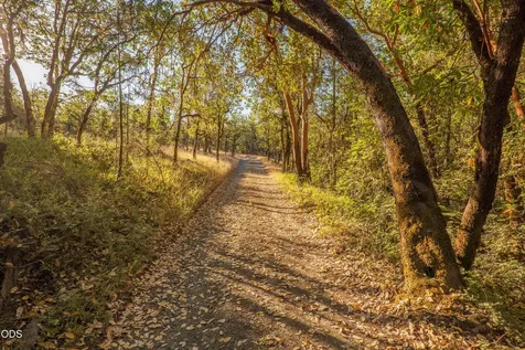 2659 Foots Creek L Fork Road Gold Hill OR 97525