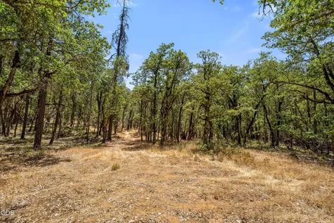 4199 Foots Creek Road Rogue River OR 97537