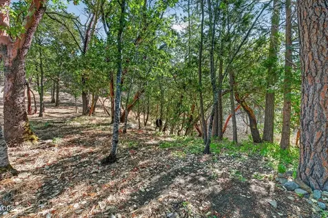 1277 N 5th Avenue Gold Hill OR 97525