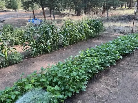 15780 Homestead Lane Klamath Falls OR 97601