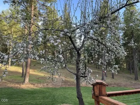 15780 Homestead Lane Klamath Falls OR 97601