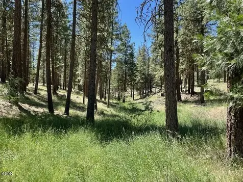 15780 Homestead Lane Klamath Falls OR 97601