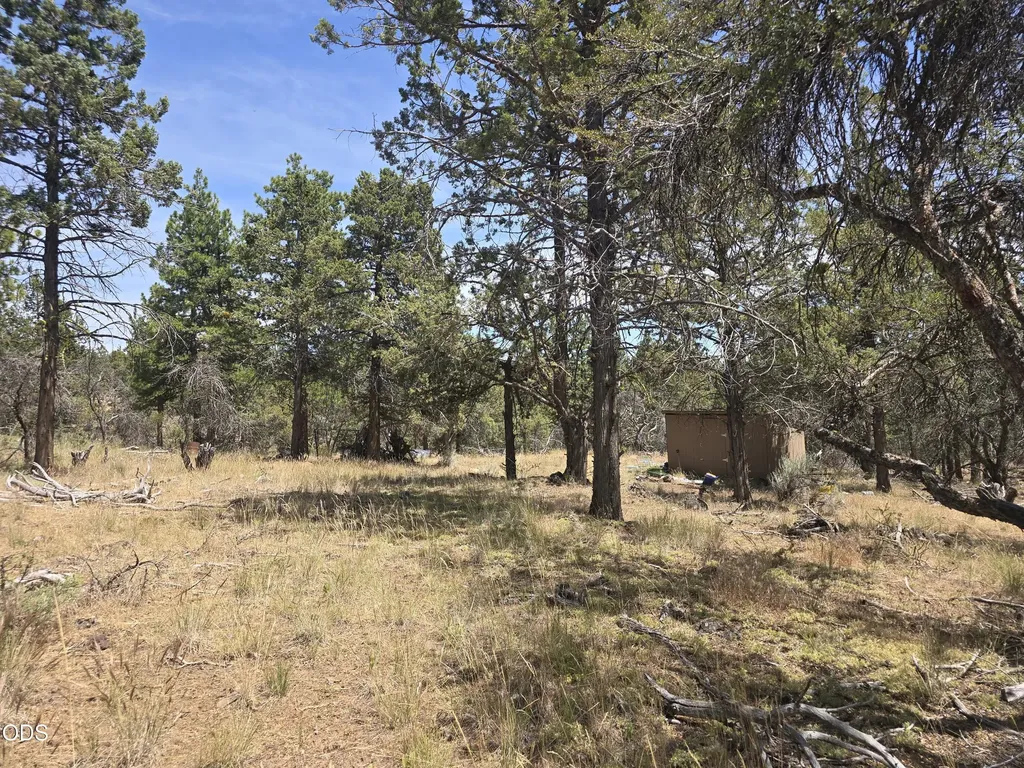 11436 Wildhorse Drive Bonanza OR 97623