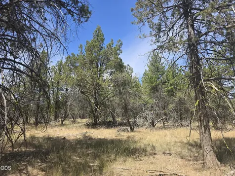 11436 Wildhorse Drive Bonanza OR 97623